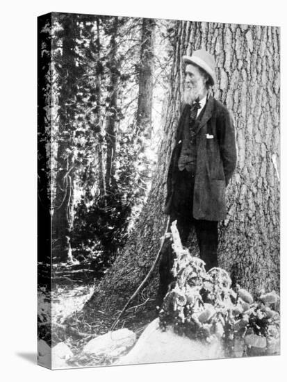 John Muir, Scottish-American Naturalist-Science Source-Stretched Canvas