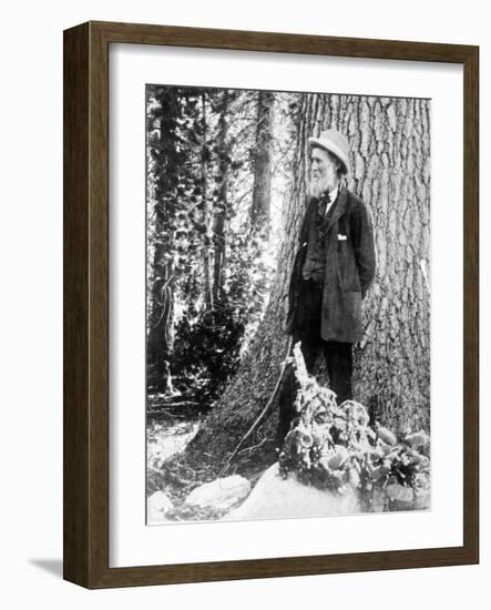 John Muir, Scottish-American Naturalist-Science Source-Framed Giclee Print