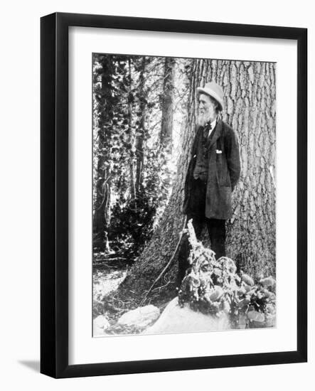 John Muir, Scottish-American Naturalist-Science Source-Framed Giclee Print