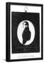 Essential Black