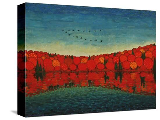 Stretched Canvas Print, , large