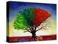 Stretched Canvas