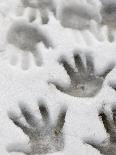 Children's Handprints in a Spring Snow-John Nordell-Photographic Print