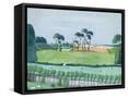 Framed Canvas