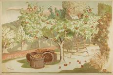 Untitled, from the Series 'Home Gardens for Home Markets', 1930-John Northcote Nash-Giclee Print