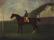 King David' Beating 'surveyor' for the Coronation Cup at Newcastle on July 5, 1815-John Nost Sartorius-Framed Stretched Canvas