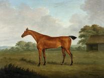 Eclipse ridden by J Oakley, 1771-John Nott Sartorius-Framed Giclee Print