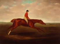 Eclipse ridden by J Oakley, 1771-John Nott Sartorius-Framed Giclee Print