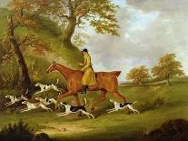 Chestnut Horse in a Landscape, 1815-John Nott Sartorius-Giclee Print