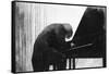 John Ogdon at the Piano in the Great Hall, Exeter University, 1979-George Adamson-Framed Stretched Canvas