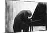 John Ogdon at the Piano in the Great Hall, Exeter University, 1979-George Adamson-Mounted Giclee Print