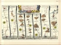 Britannia Atlas, 1675-John Ogilby-Stretched Canvas