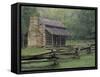 John Oliver Cabin in Cades Cove, Great Smoky Mountains National Park, Tennessee, USA-Adam Jones-Framed Stretched Canvas