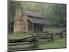 John Oliver Cabin in Cades Cove, Great Smoky Mountains National Park, Tennessee, USA-Adam Jones-Mounted Photographic Print