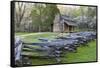 John Oliver Cabin in Spring, Cades Cove Area, Great Smoky Mountains National Park, Tennessee-Richard and Susan Day-Framed Stretched Canvas