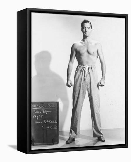 John Payne-null-Framed Stretched Canvas