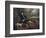 'John Plampin', c1752-Thomas Gainsborough-Framed Giclee Print