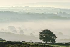 Misty cool Autumn daybreak at Strensall Common Nature Reserve near York, North Yorkshire-John Potter-Photographic Print