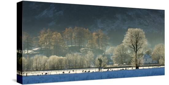 Stretched Canvas Print, , large