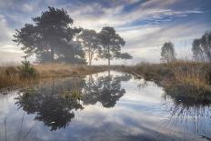 Early morning mist in the Esk Valley around Lealholm in the North Yorkshire Moors National Park-John Potter-Photographic Print