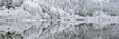 Reflections on Loch Chon in winter, Aberfoyle, Stirling, The Trossachs, Scotland, United Kingdom