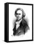 John Quincy Adams, 6th President of the United States-null-Framed Stretched Canvas