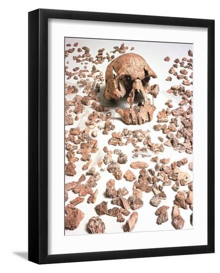 Photographic Print, , large