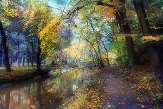 Autumn Walk-John Rivera-Photographic Print