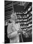 John Rogers in the Prescription Room of His Old-Fashioned Pharmacy-null-Mounted Photographic Print