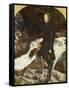 John Ruskin, 1854-John Everett Millais-Framed Stretched Canvas