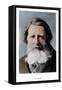 John Ruskin, English critic, poet and artist, c1880s-Barraud-Framed Stretched Canvas