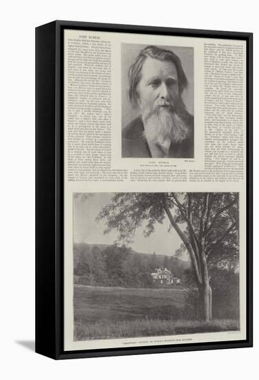 John Ruskin-null-Framed Stretched Canvas