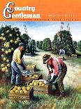 "Picking Grapefruit," Country Gentleman Cover, February 1, 1942-John S. Demartelly-Stretched Canvas