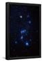 Essential Black