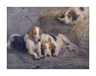 Out in the Cold, C.1890-John Sargent Noble-Giclee Print