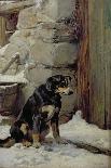 Watching the Stalkers, 1883-John Sargent Noble-Giclee Print
