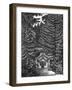 John Scott's Grotto-null-Framed Art Print