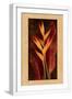 White Frame