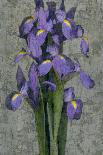 Purple Iris-John Seba-Art Print