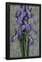 Essential Black