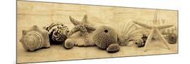 Wood Mount
