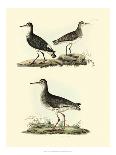 Selby Sandpipers II-John Selby-Stretched Canvas