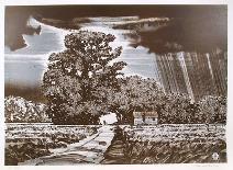 Storm Clouds-John Shemitt Houser-Limited Edition