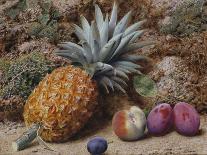 A Pineapple, a Peach and Plums on a Mossy Bank-John Sherrin-Stretched Canvas