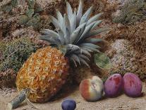 A Pineapple, a Peach and Plums on a Mossy Bank-John Sherrin-Mounted Giclee Print
