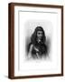 Brown Frame