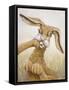 Framed Canvas