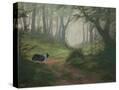 Stretched Canvas