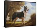 Canvas Black
