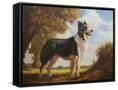 Canvas Black